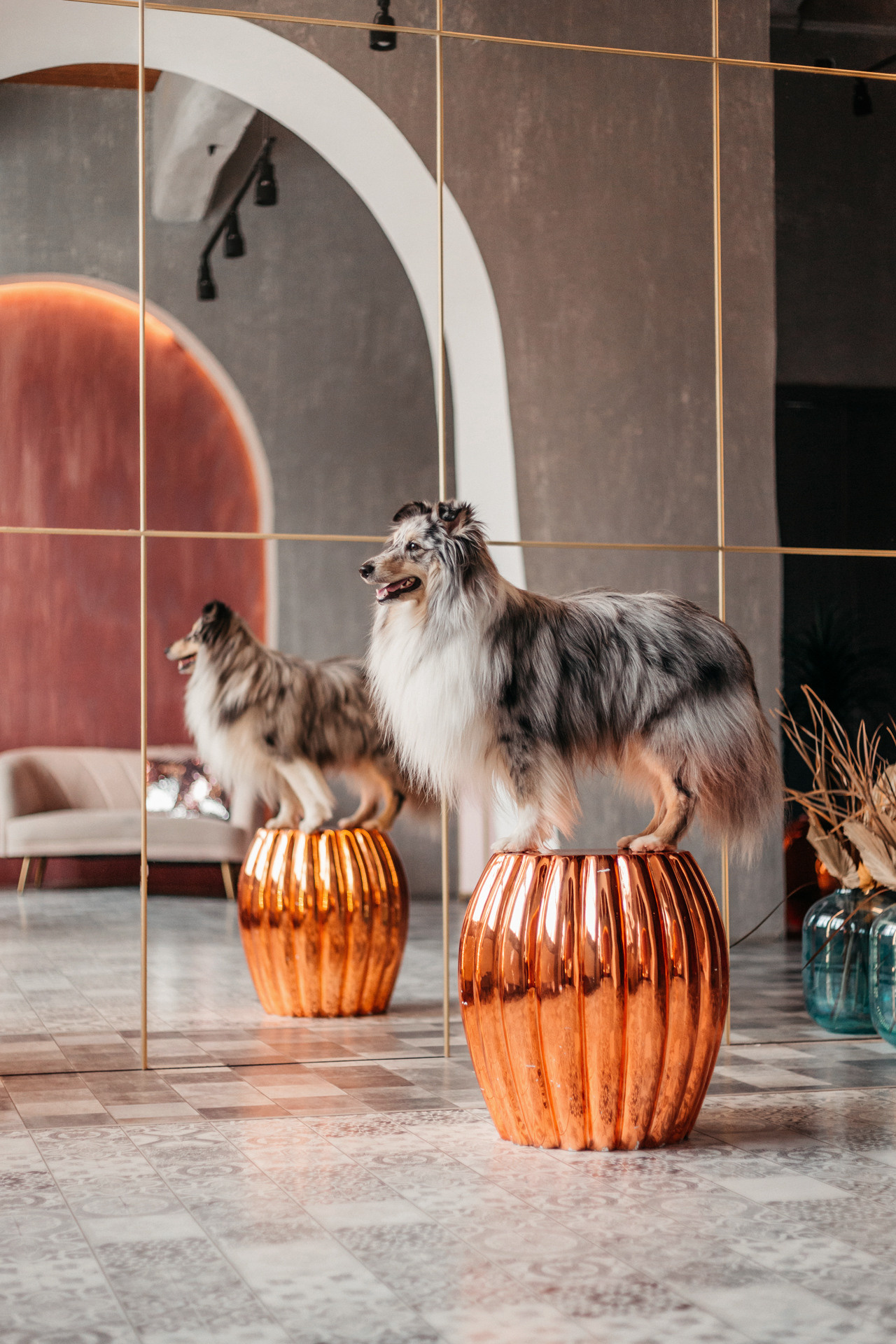 Аня и Скай. Фотограф-анималист Елена Радченко, Москва