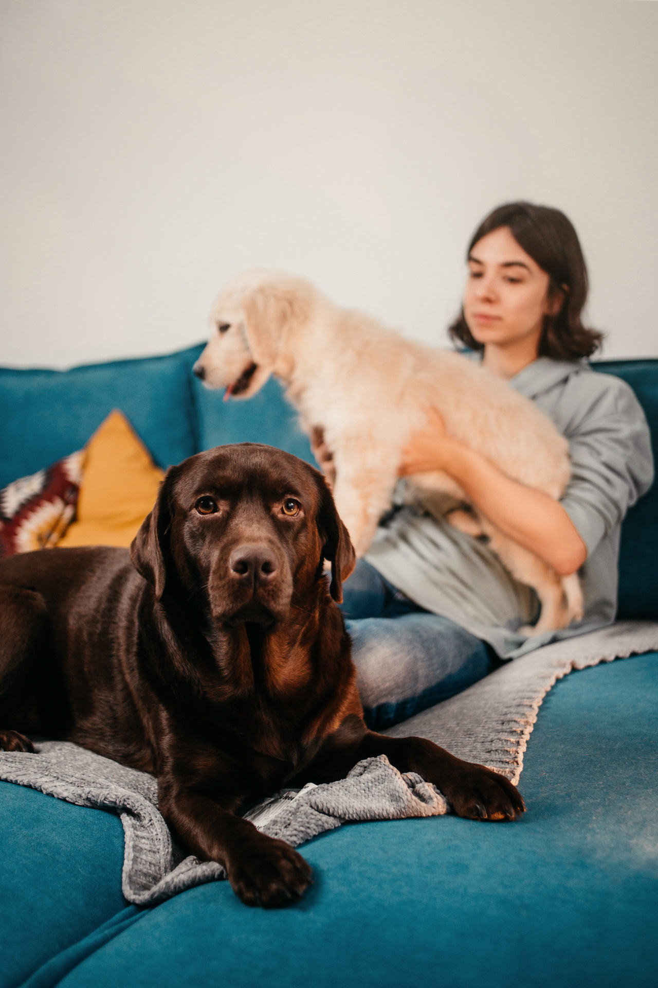 Настя, Вальда и Флер. Фотограф-анималист Елена Радченко, Москва