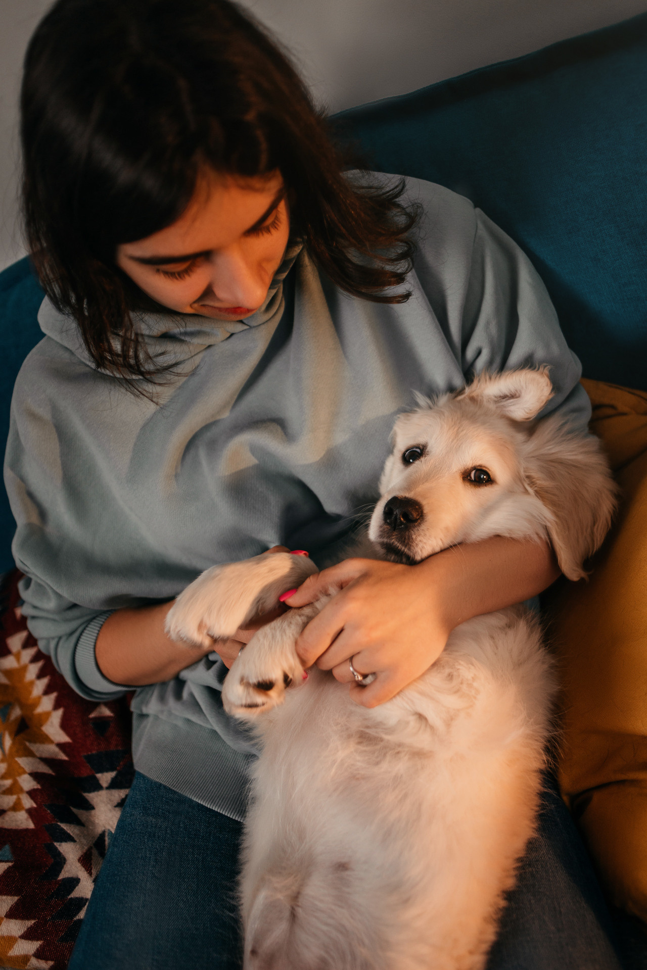 Настя, Вальда и Флер. Фотограф-анималист Елена Радченко, Москва
