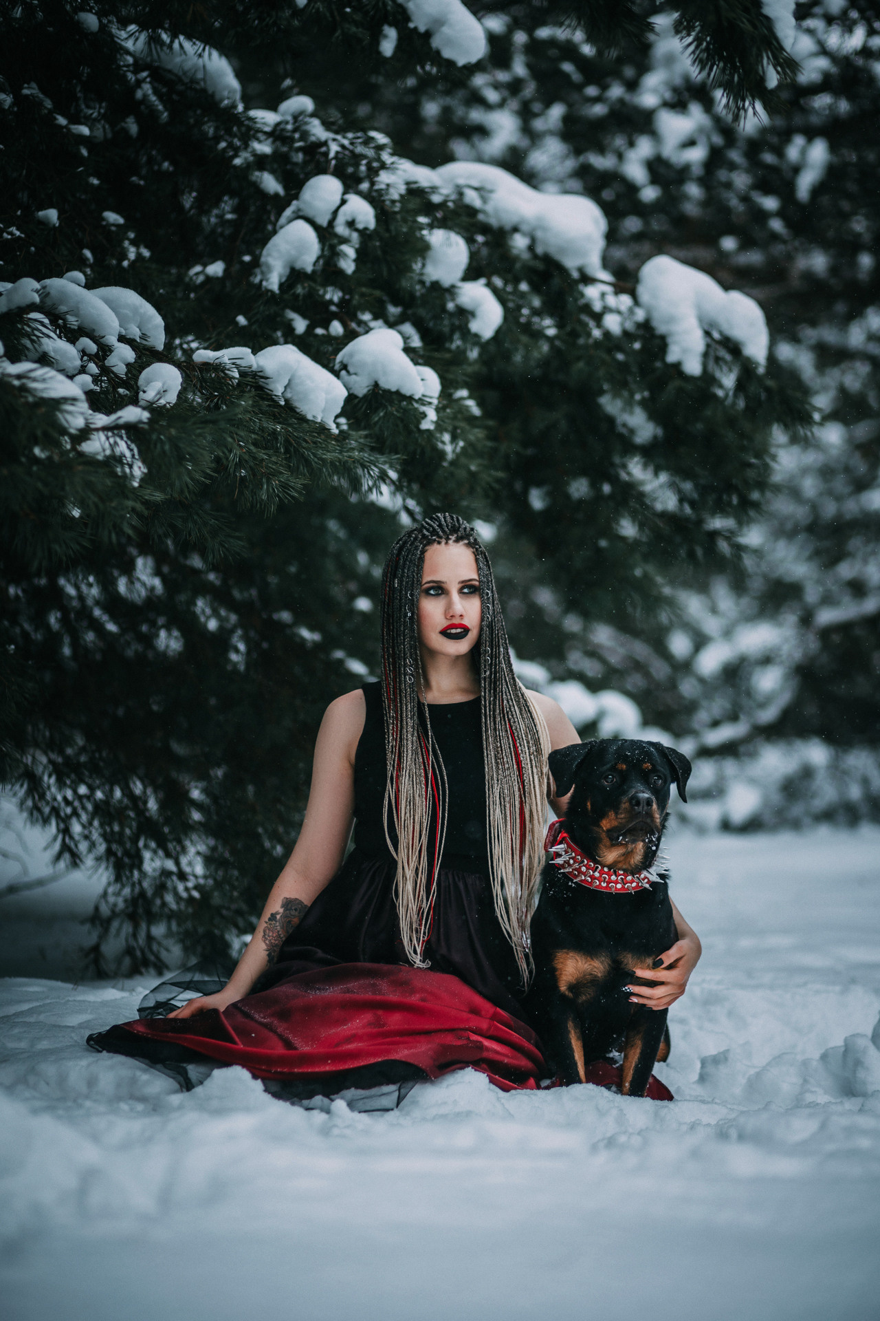 Каринэ и Цири. Фотограф-анималист Елена Радченко, Москва