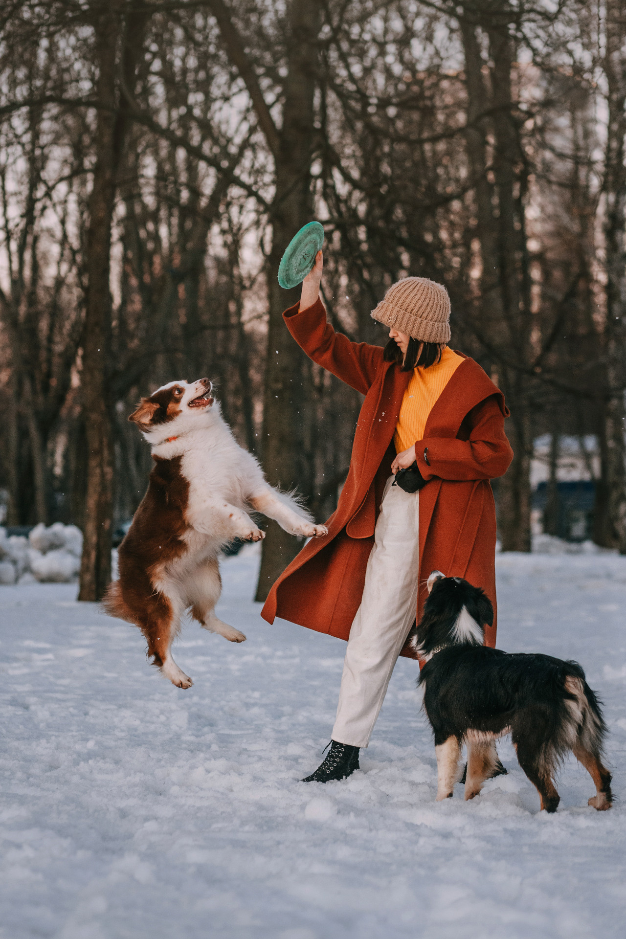 Нюта, Мэри и Лэсси. Фотограф-анималист Елена Радченко, Москва
