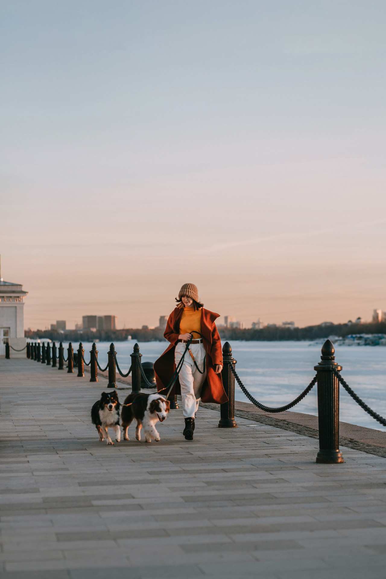 Нюта, Мэри и Лэсси. Фотограф-анималист Елена Радченко, Москва