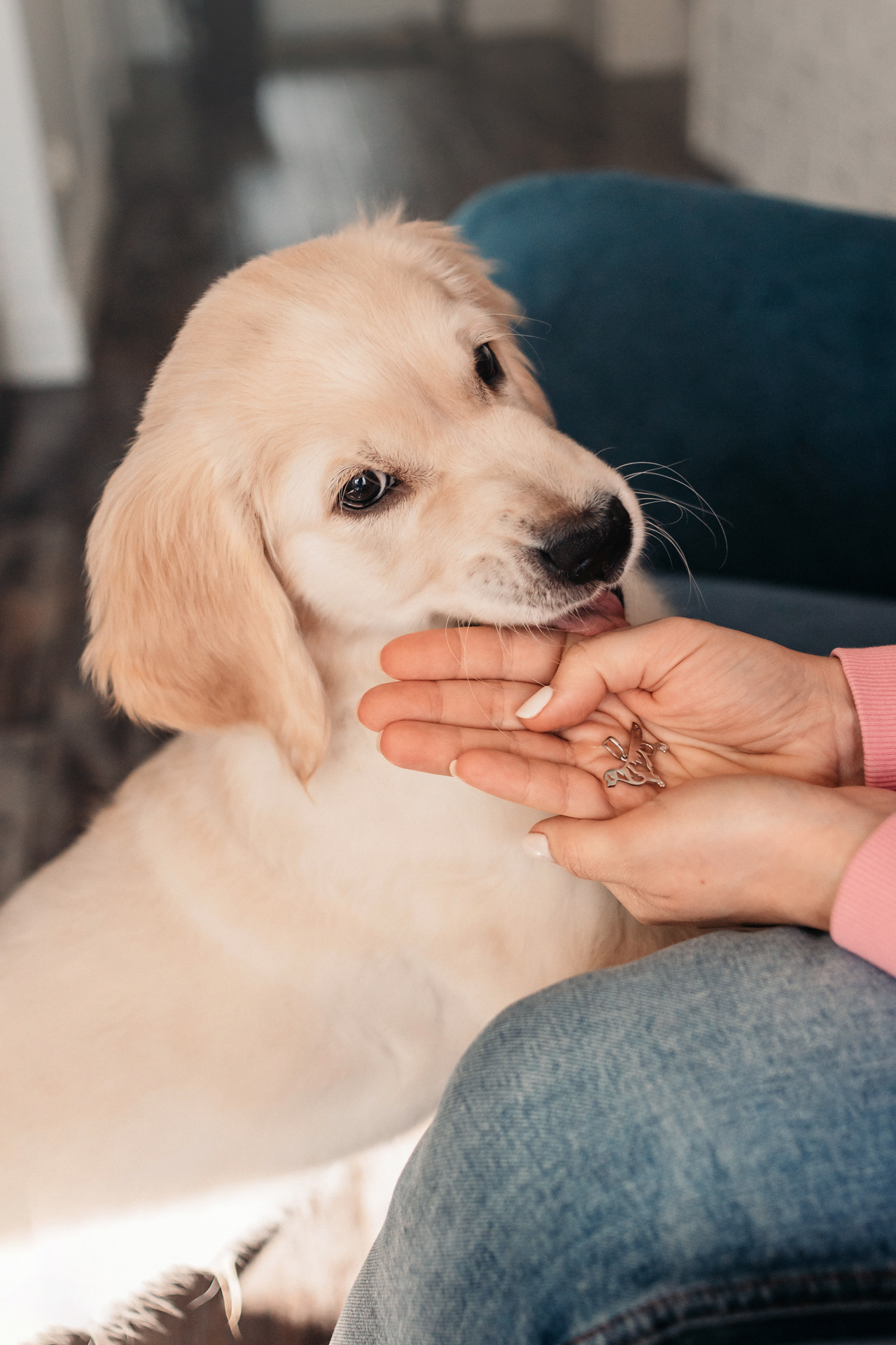 Наталья и Шелби. Фотограф-анималист Елена Радченко, Москва