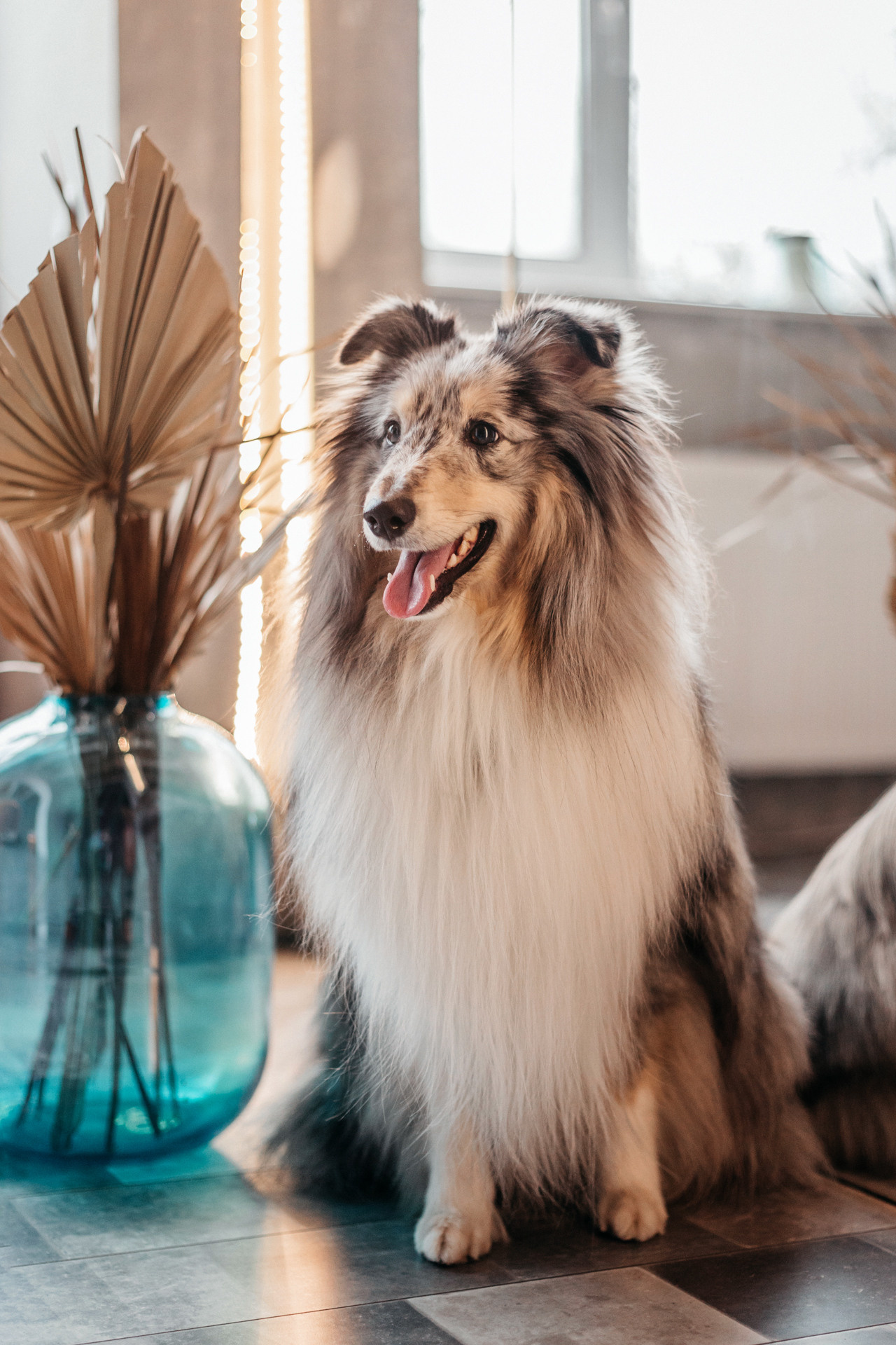 Аня и Скай. Фотограф-анималист Елена Радченко, Москва