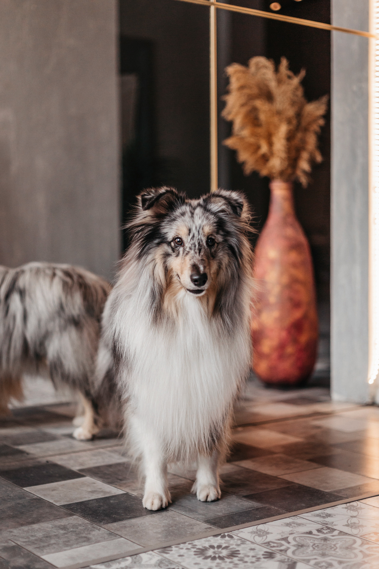 Аня и Скай. Фотограф-анималист Елена Радченко, Москва