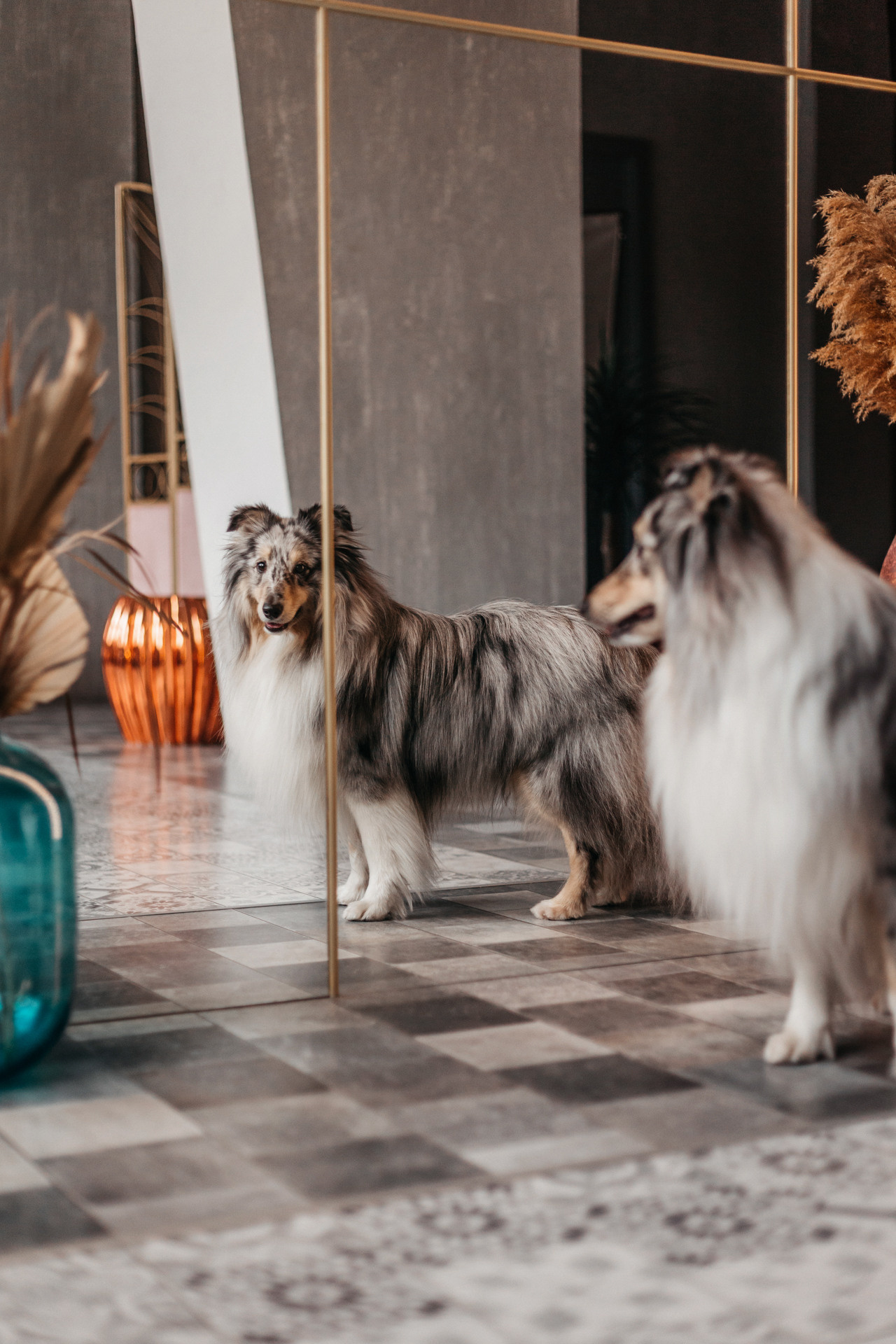 Аня и Скай. Фотограф-анималист Елена Радченко, Москва