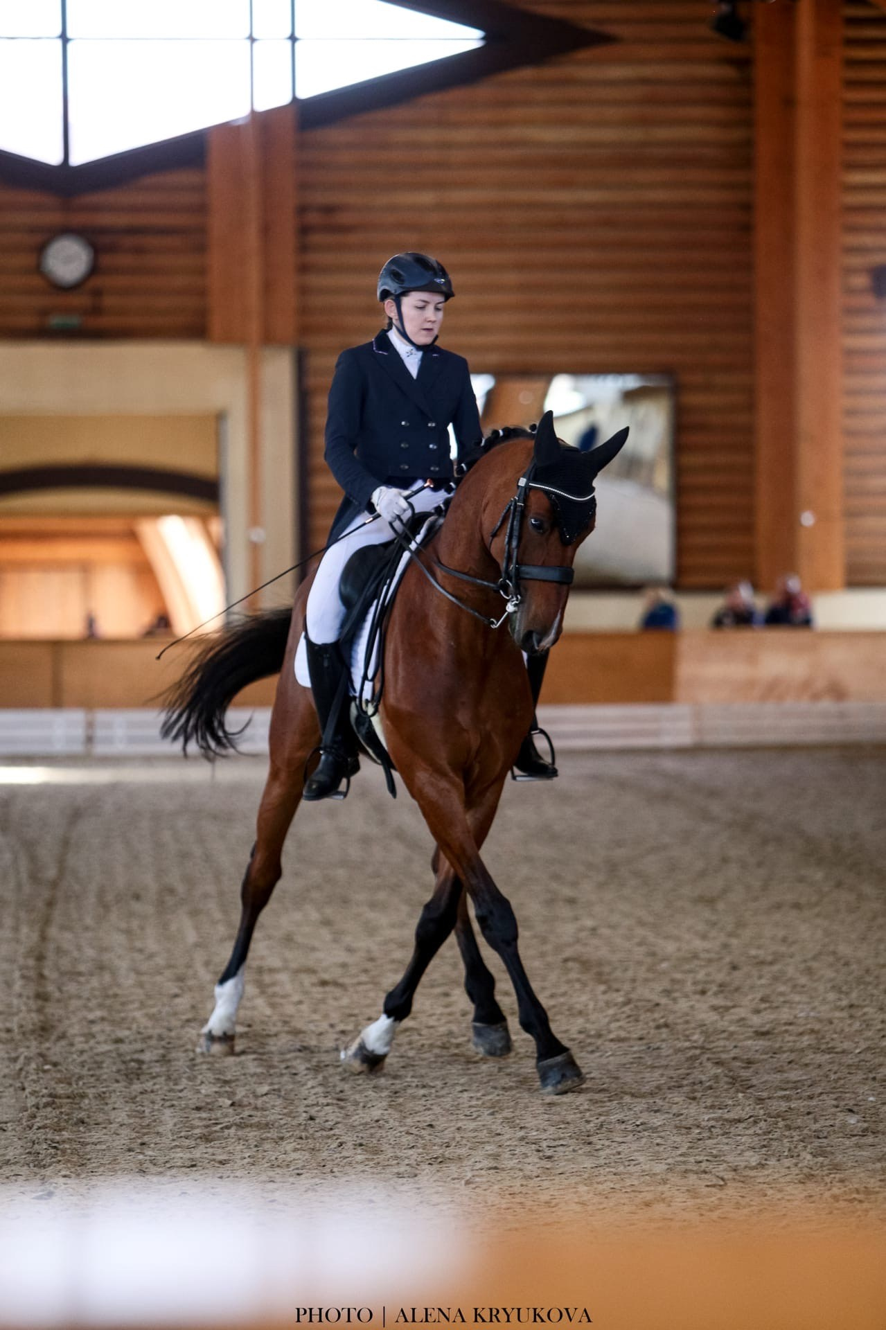 Зимние соревнования. Фотосессии с лошадьми