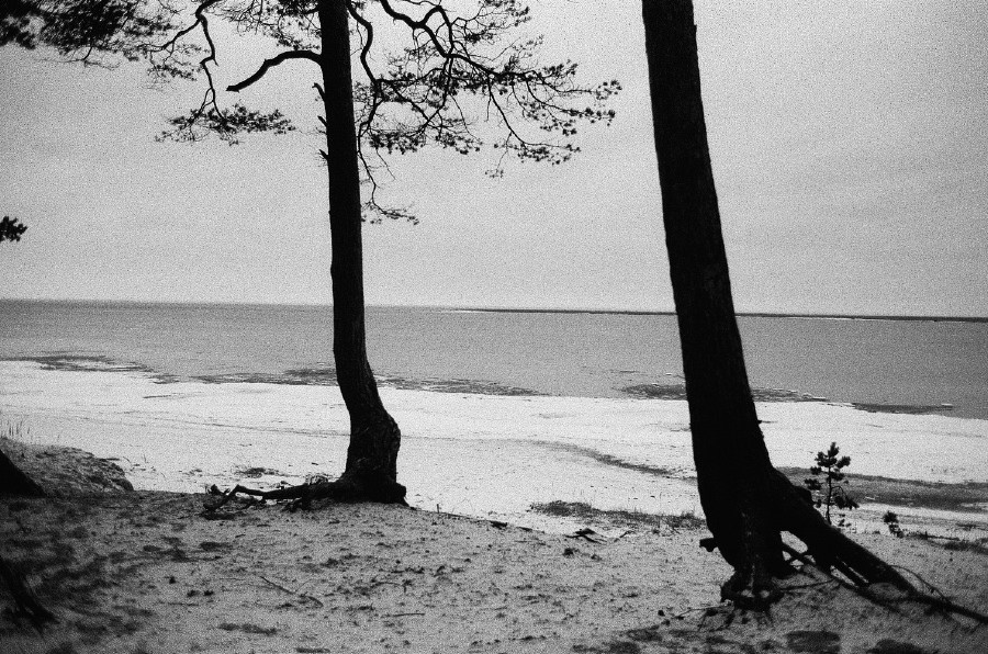 Summer Shore. Vitaly Severov