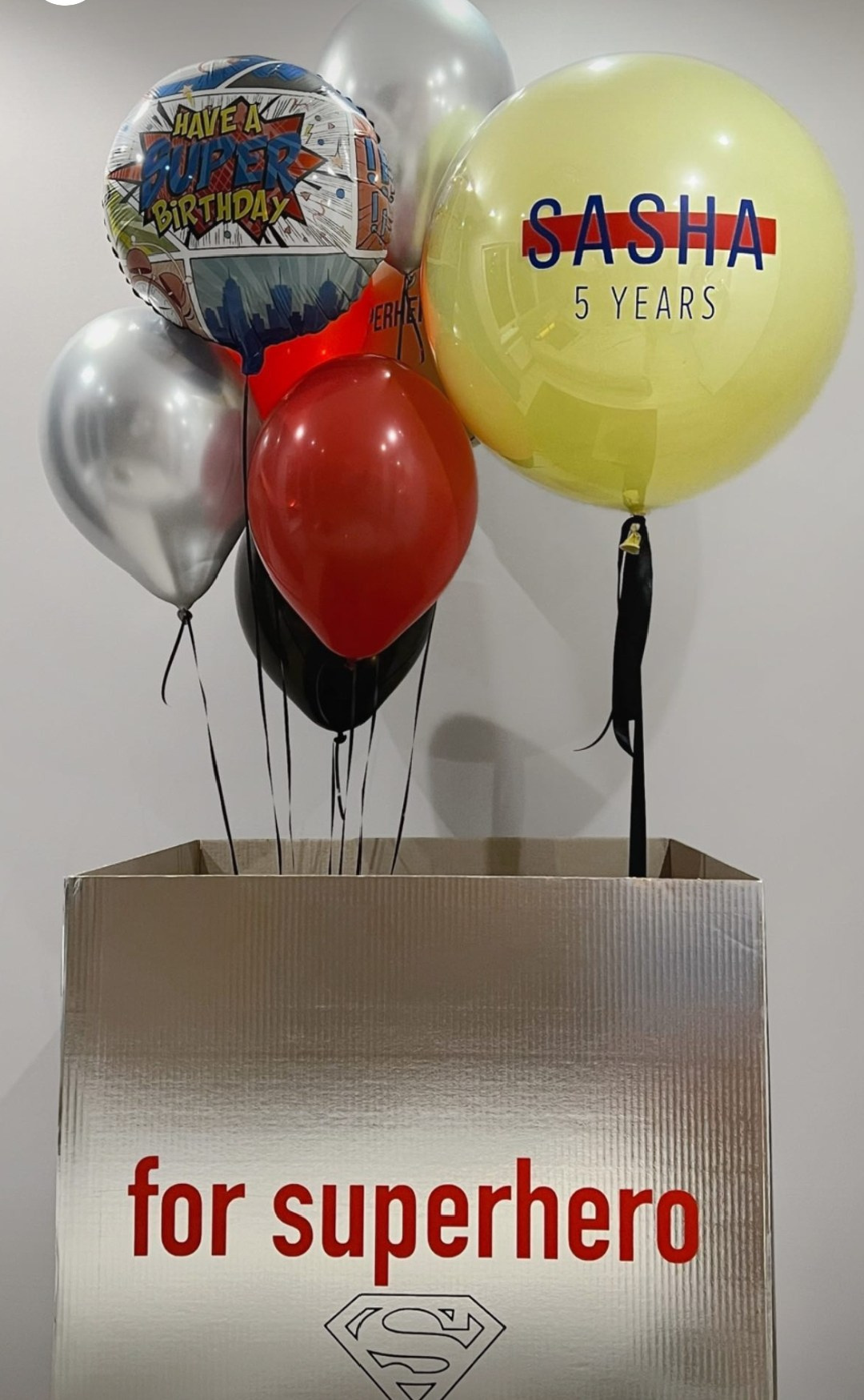 Мальчику на день рождения с 4 -17 лет. Аэродизайнер Елена Лин