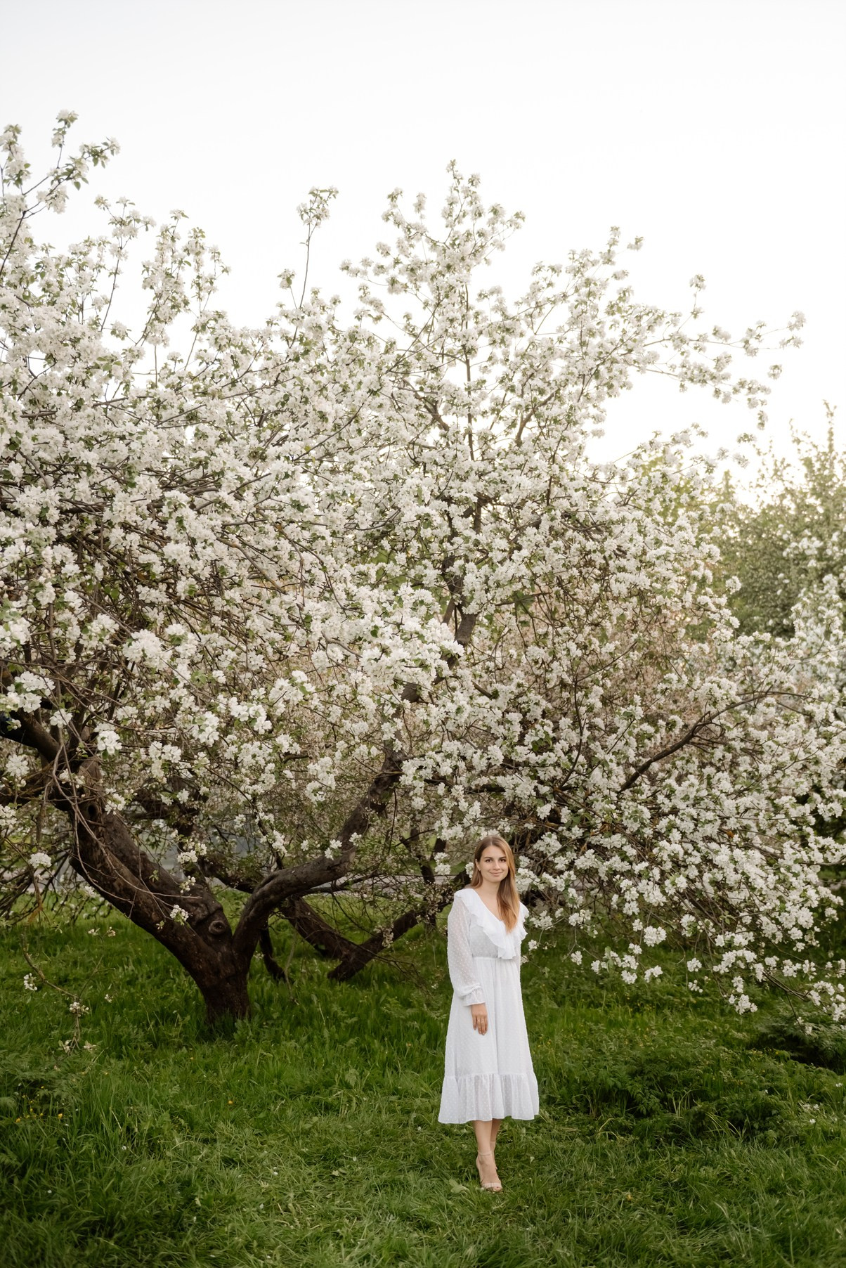 Яблоневое цветение. Свадебный и сеейный фотограф в Санкт-Петербурге Елена Худякова