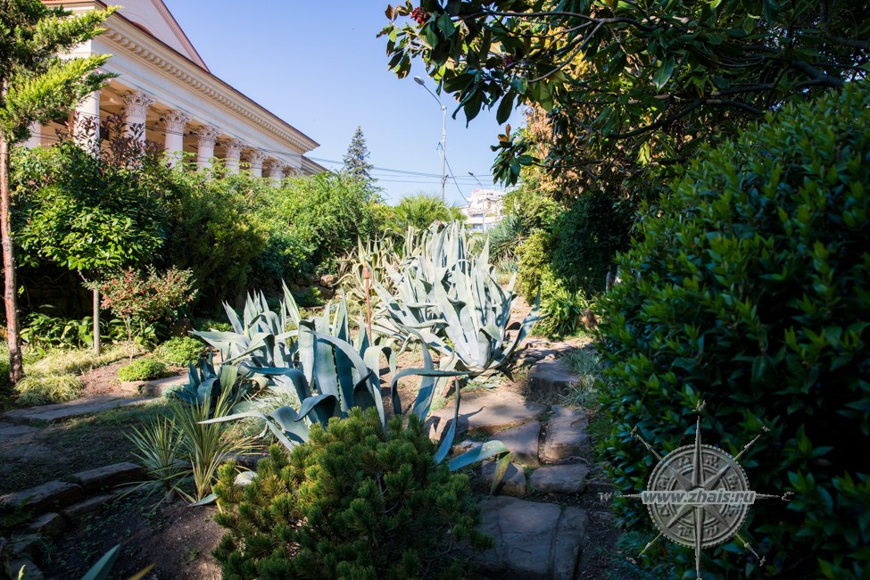 КРАСИВЫЕ МЕСТА В СОЧИ. Свадебный и семейный фотограф/видеограф в Краснодаре Наталья Осинская