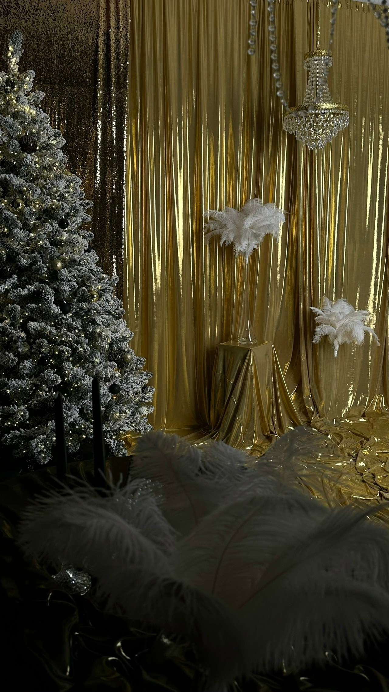 Chicago. Фотограф Анастасия Крафт