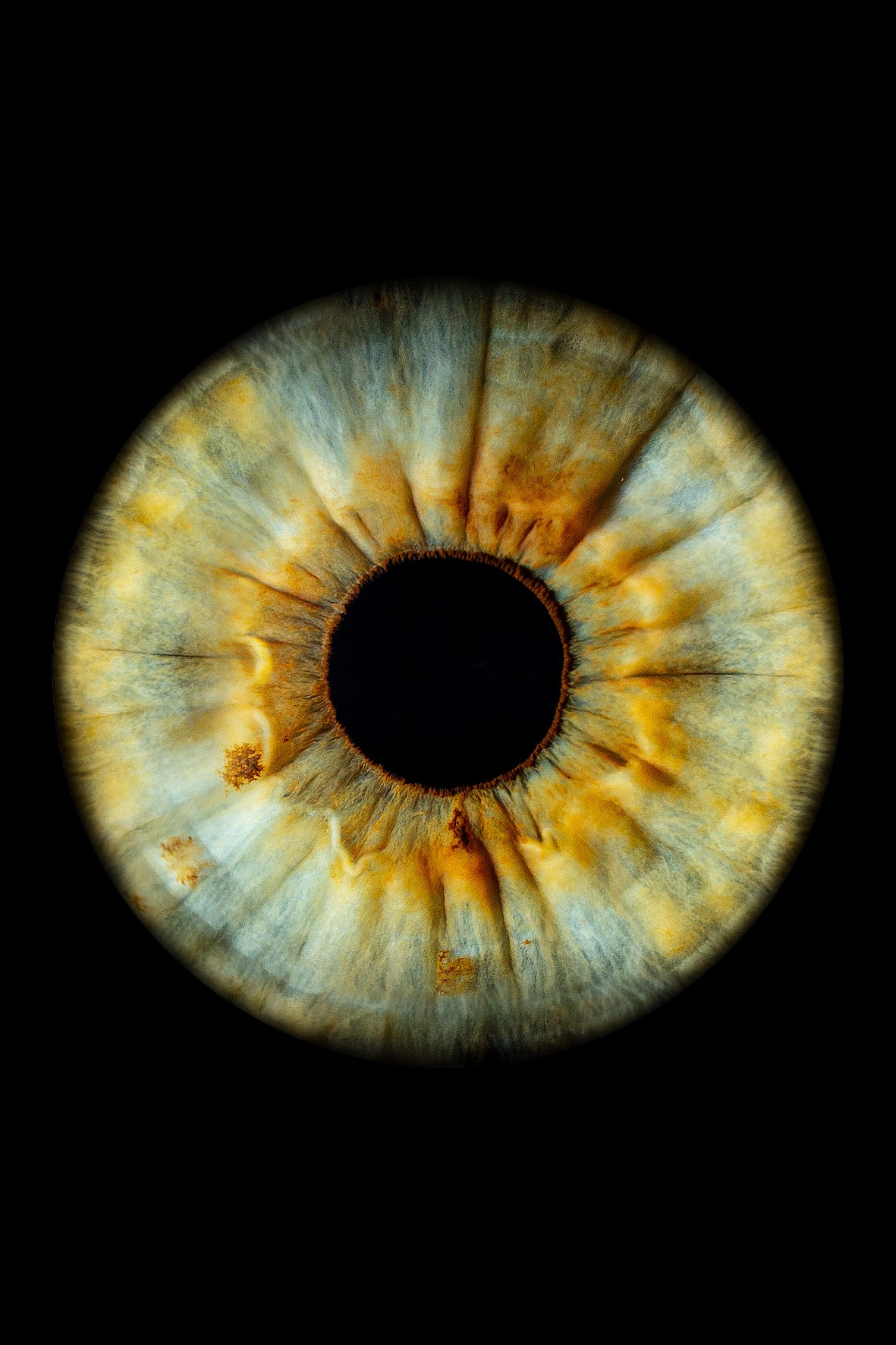 Примеры работ. Мой глаз