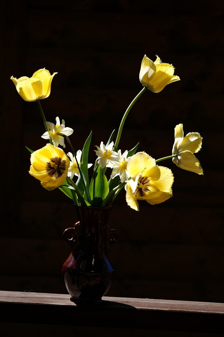 Вечерний город. Улица, люди, жизнь…