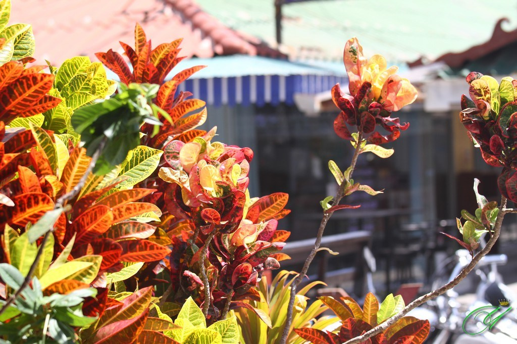 Тайланд. Пхукет 2013. Улица, люди, жизнь…