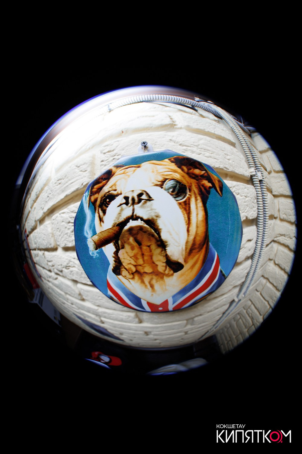 WOW QUIZ. КИПЯТКОМ КОКШЕТАУ