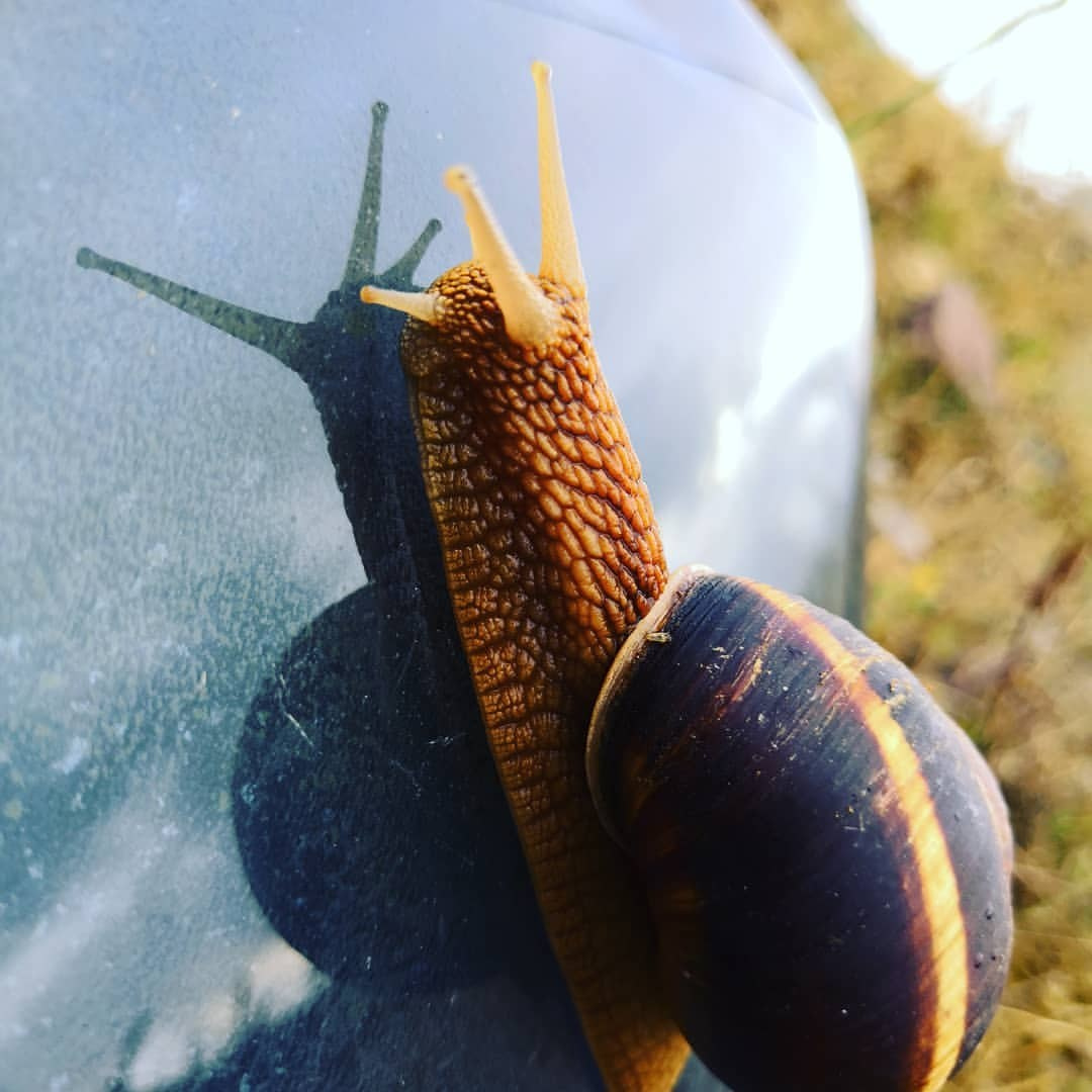 Bashnin instagramm. Заставка