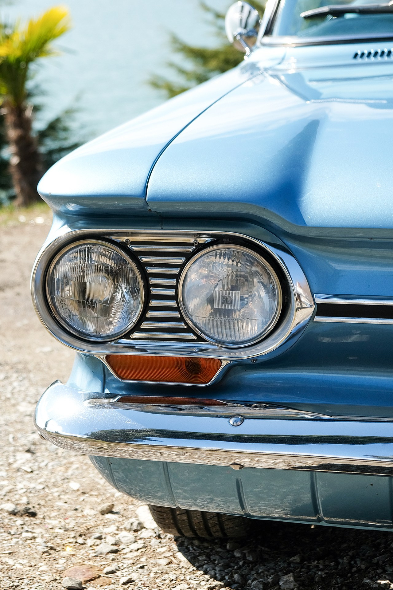 Alex & Luka. Свадебный и семейный фотограф Ксения Тараканова г. Иваново