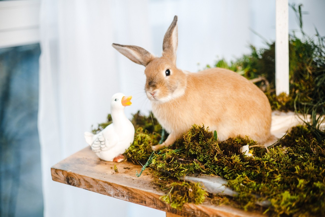 Отзывы. Фотограф новорожденных и семей Туапсе Краснодарский край Анна Альтман