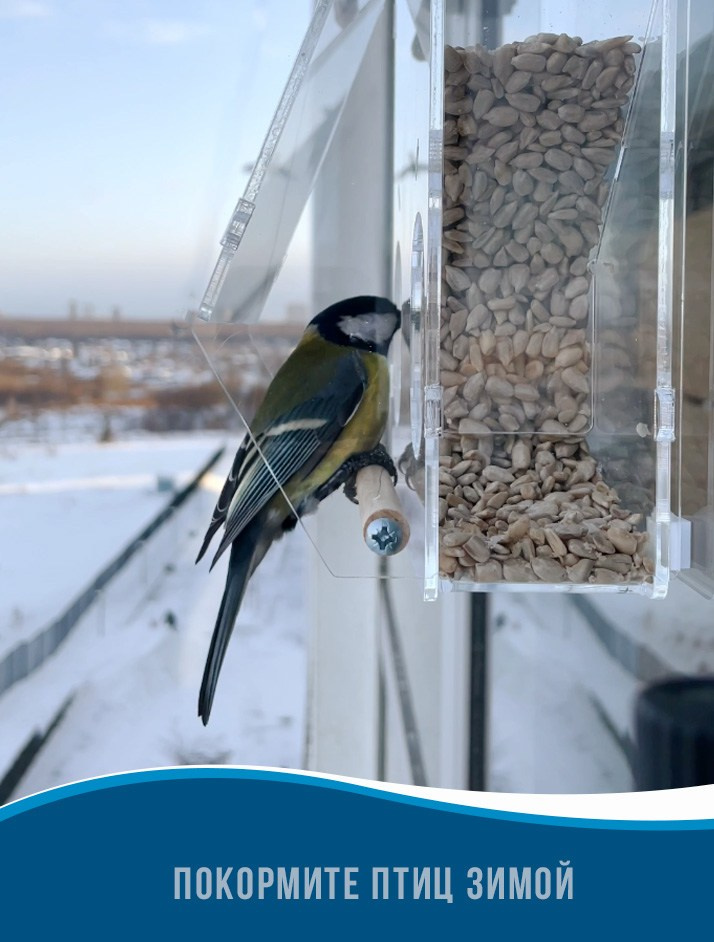 БАСТИОН. Кормушки для птиц на окно Чирик-Чирик