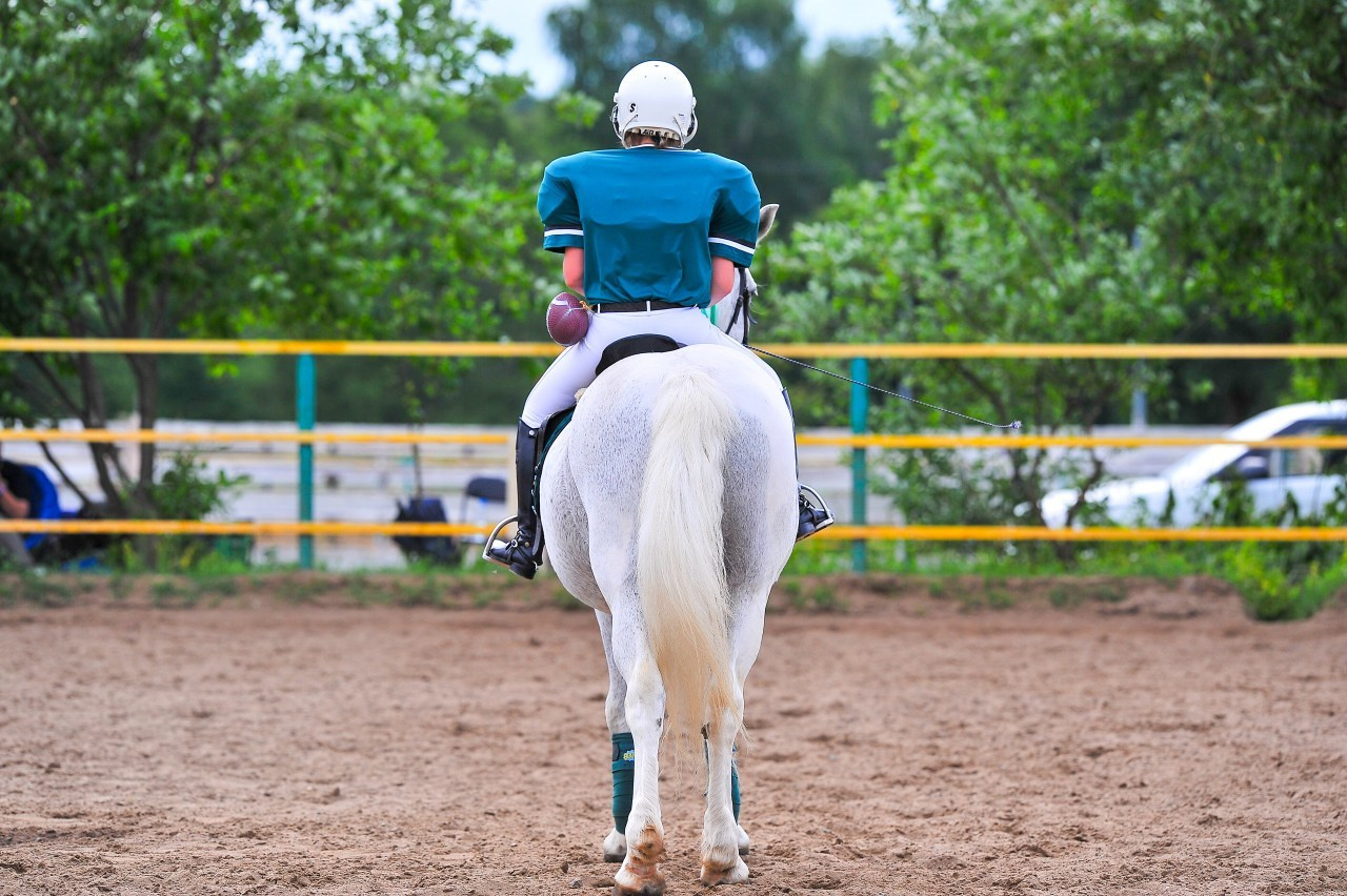 Отзывы. ТУРНИРНАЯ КОННАЯ ФОТОГРАФИЯ, Руднева Ольга и Евгений Адеев