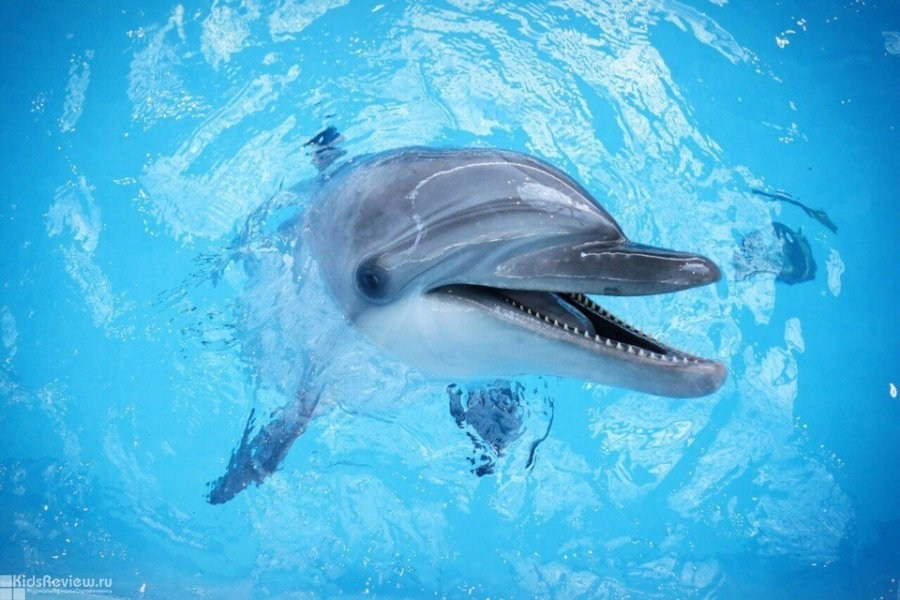 Статьи, мысли о фотографии. Aleksey Petruchenya — Filmmaker & Photographer