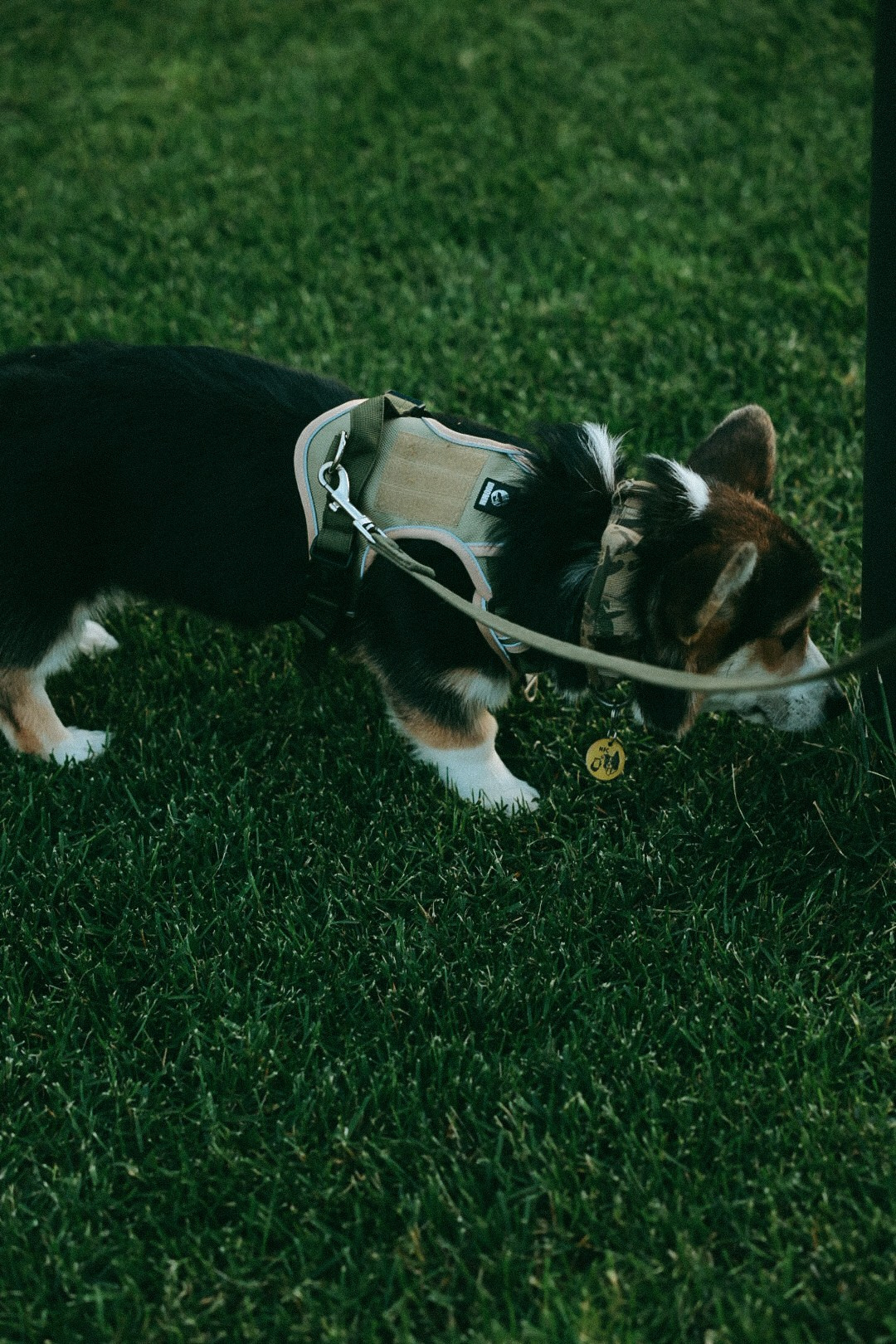 Олег Юля и Арчи. Фотограф Нижний Новгород