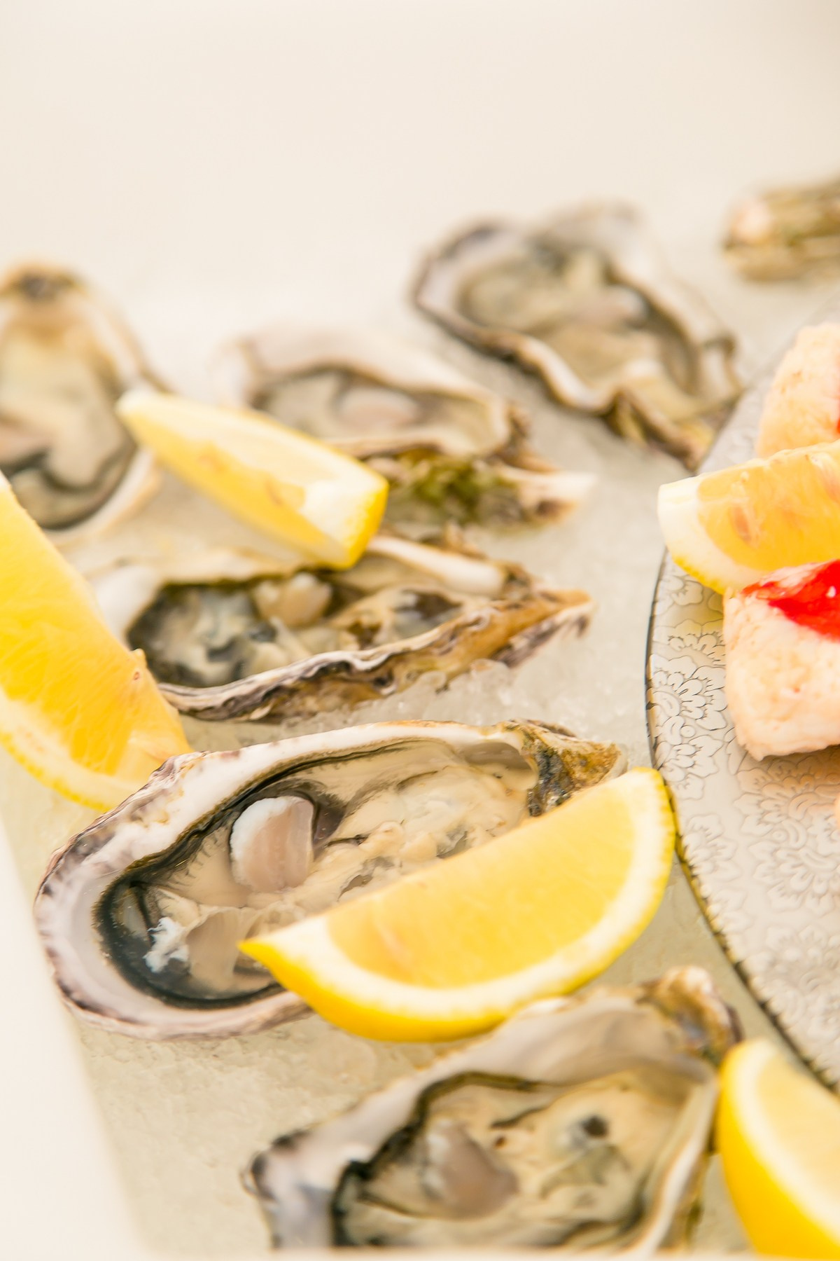 ДЕНЬ РОЖДЕНИЯ Конный клуб. Главная