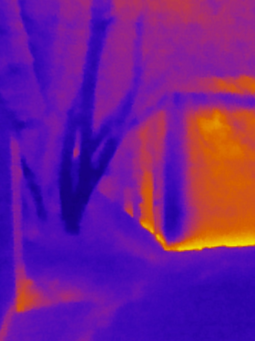 Если б я была удавом / If I were a boa constrictor. Visual artist Olga Burmistrova