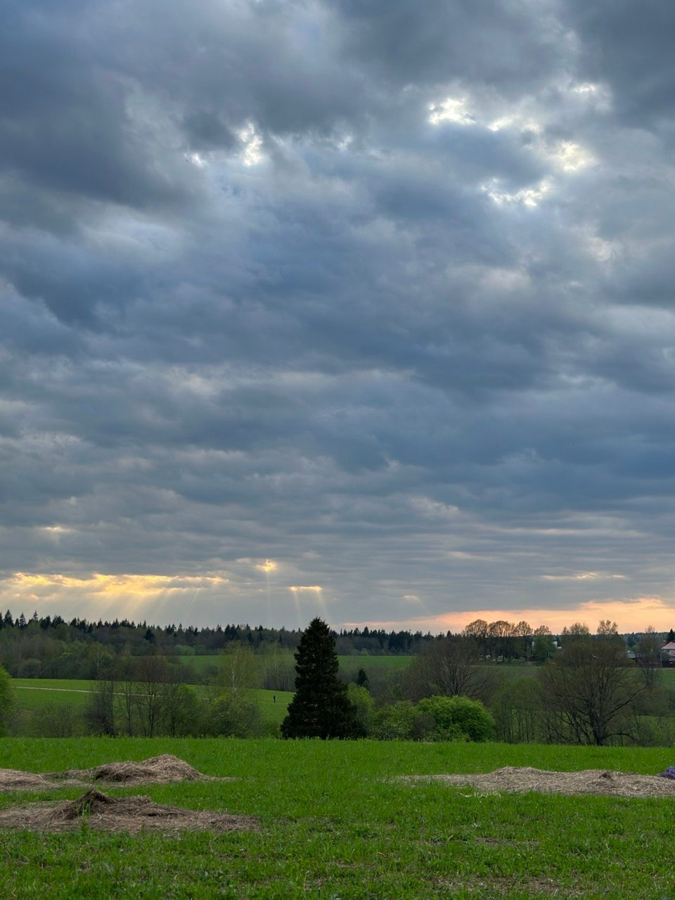 Радонежье. Путешествия со смыслом
