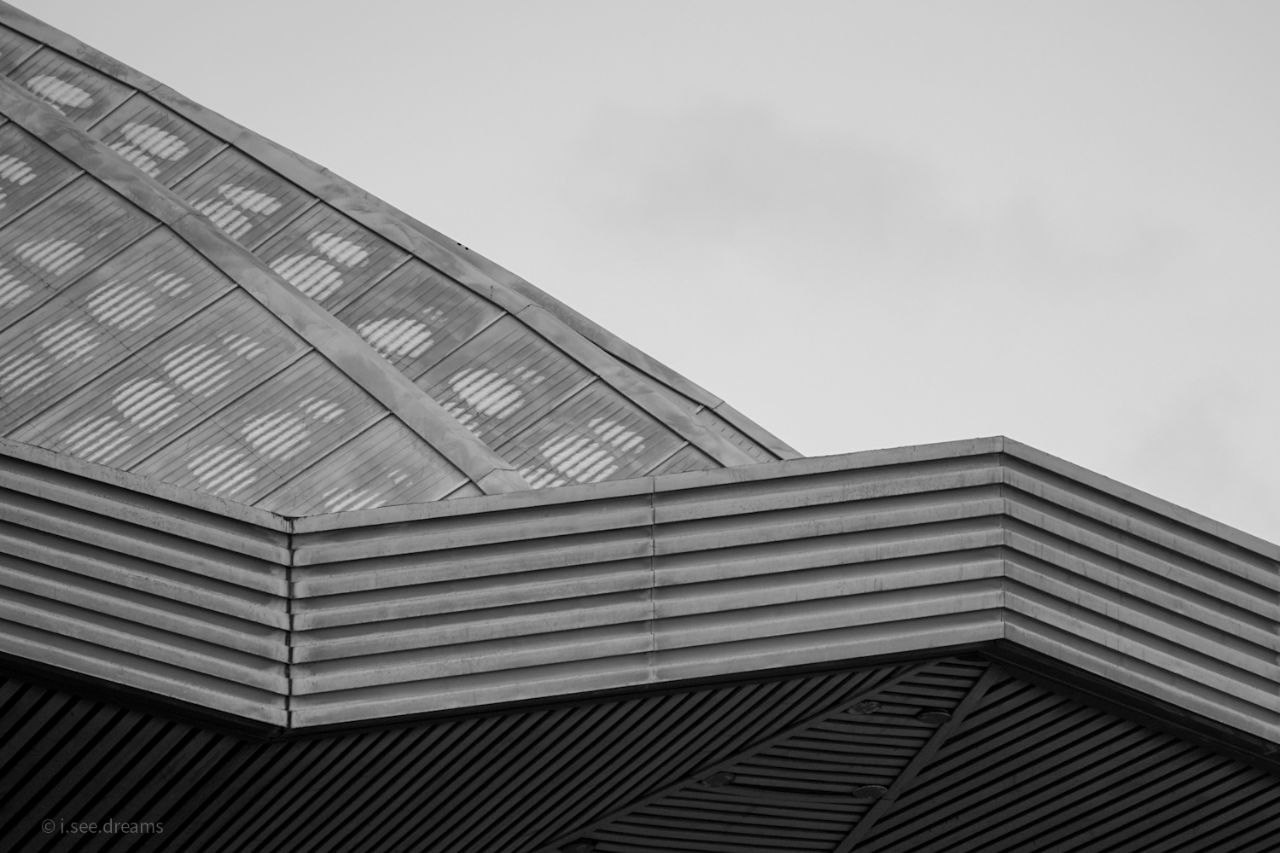 30.11.2024 // Фотоэкскурсия по Воробьевым горам с your_guide_msk. Фотовыставки serebro.gallery, в которых автором можешь стать ты! | Москва