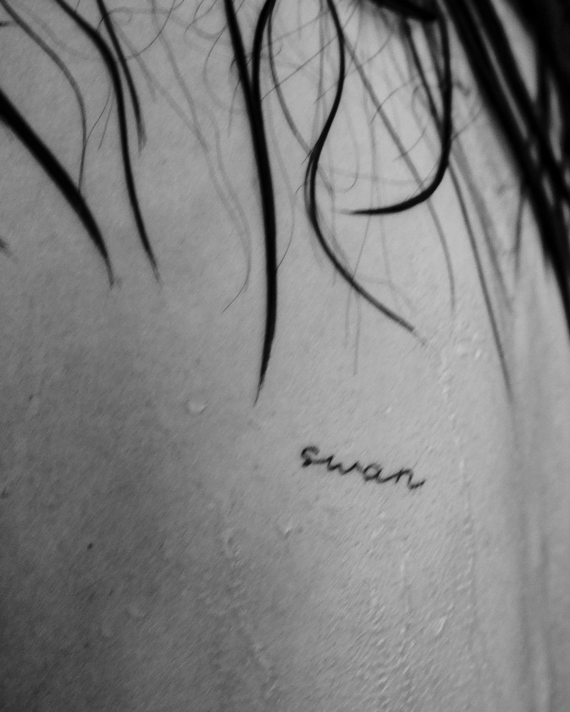 Лебеди. Свадебный фотограф Воронеж Москва СПБ