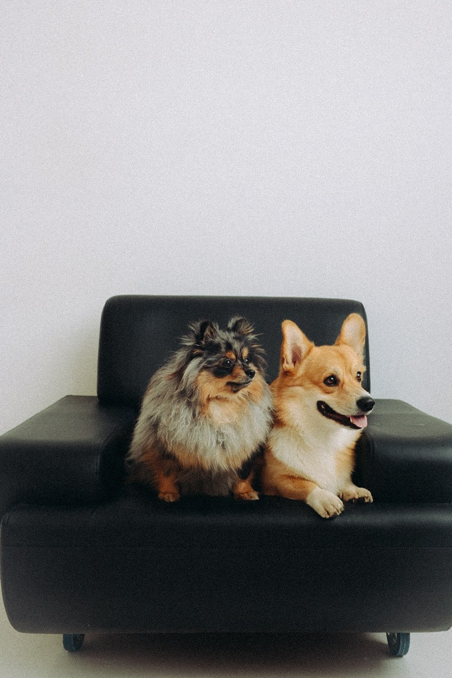 Family. Фотограф Нижний Новгород