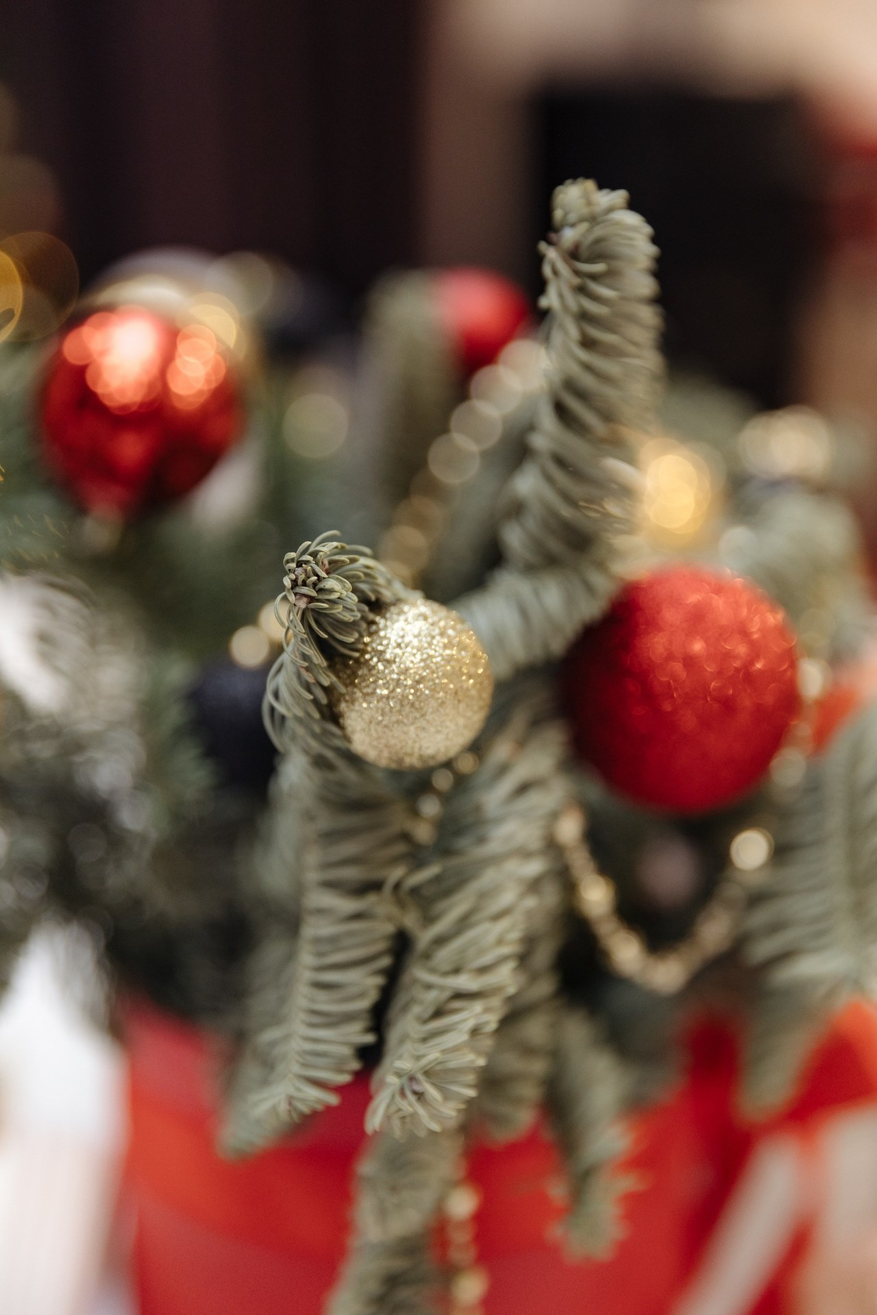 Отзывы. Свадебный и семейный фотограф Александр Беляков