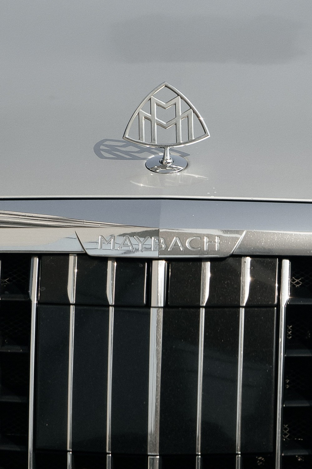 Only us. Свадебный фотограф Москва