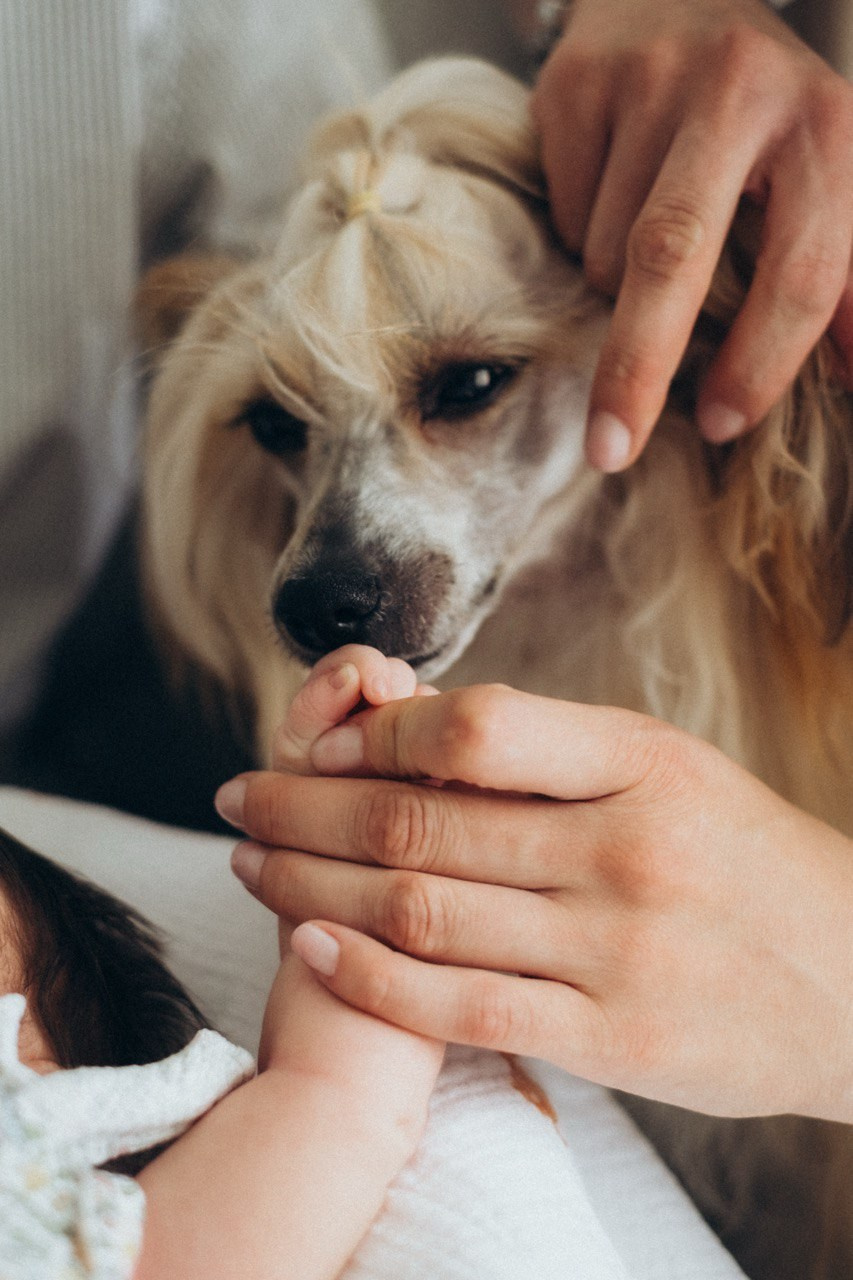 A friendly family. Veles is one and a half years old, and daughter Amelia is one month old.