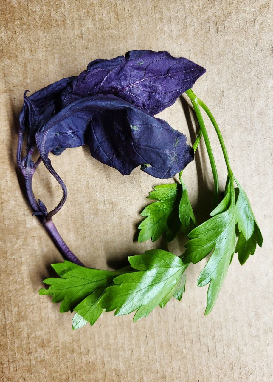 Проект «366»|2024|Фото каждый день. LENA GRACE photographer ||ЛЕНА ГРЭЙС фотограф