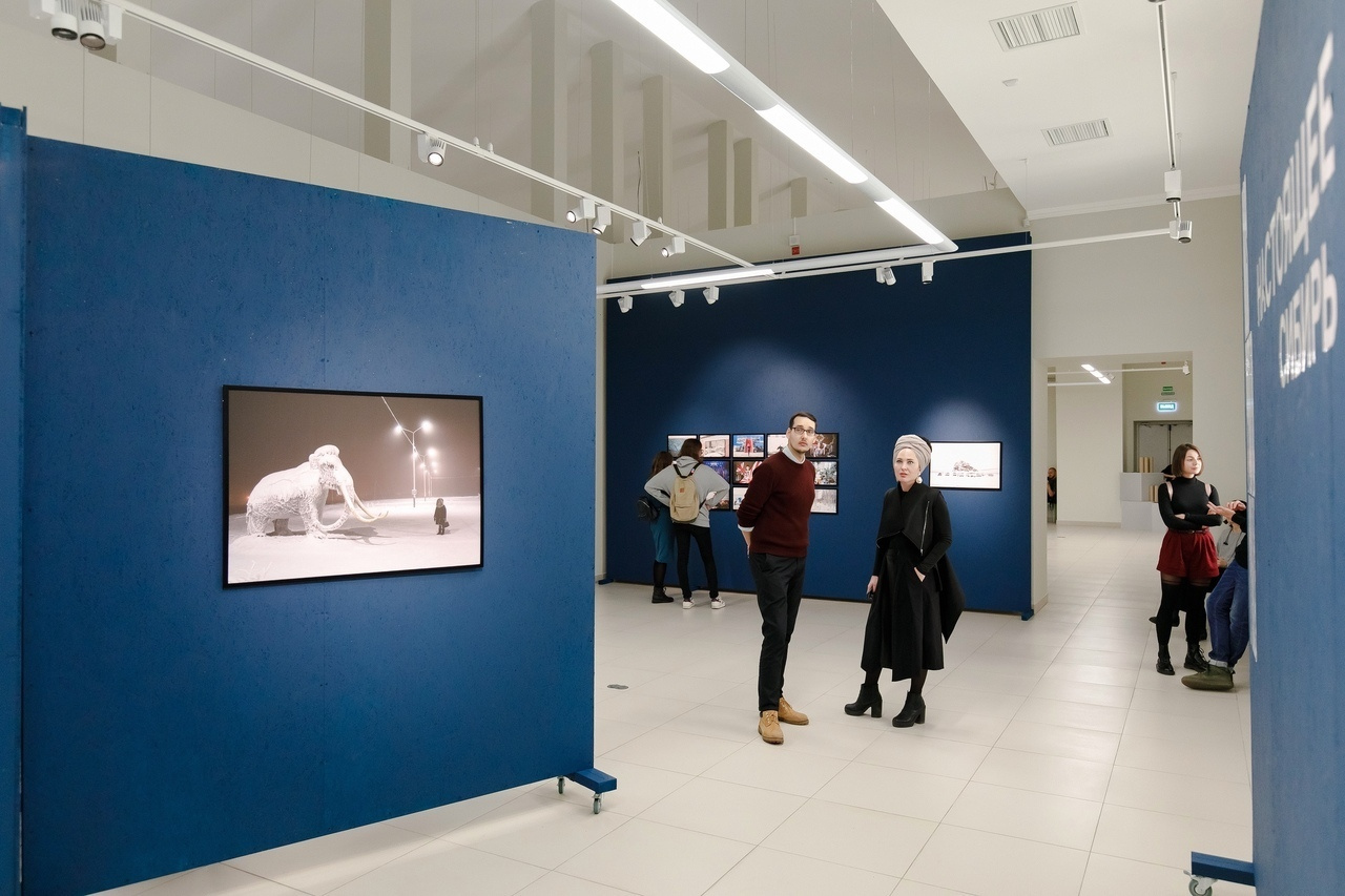 Curatorial and jury work for the Makers of Siberia Photo Prize exhibition in Om…. Елена Аносова — художница и исследовательница, куратор и лектор