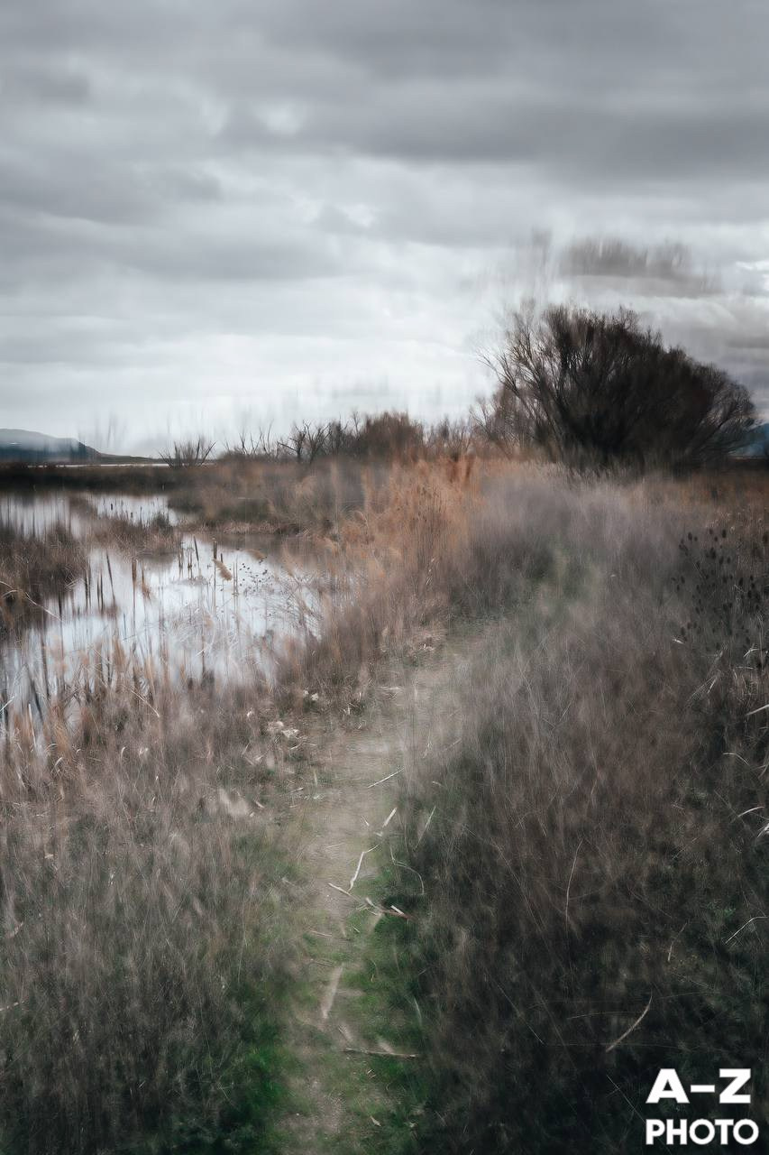 #ФОТОНЕДЕЛИ 23.03.2026. Женский семейный фотограф Тула Москва Захарова Анна