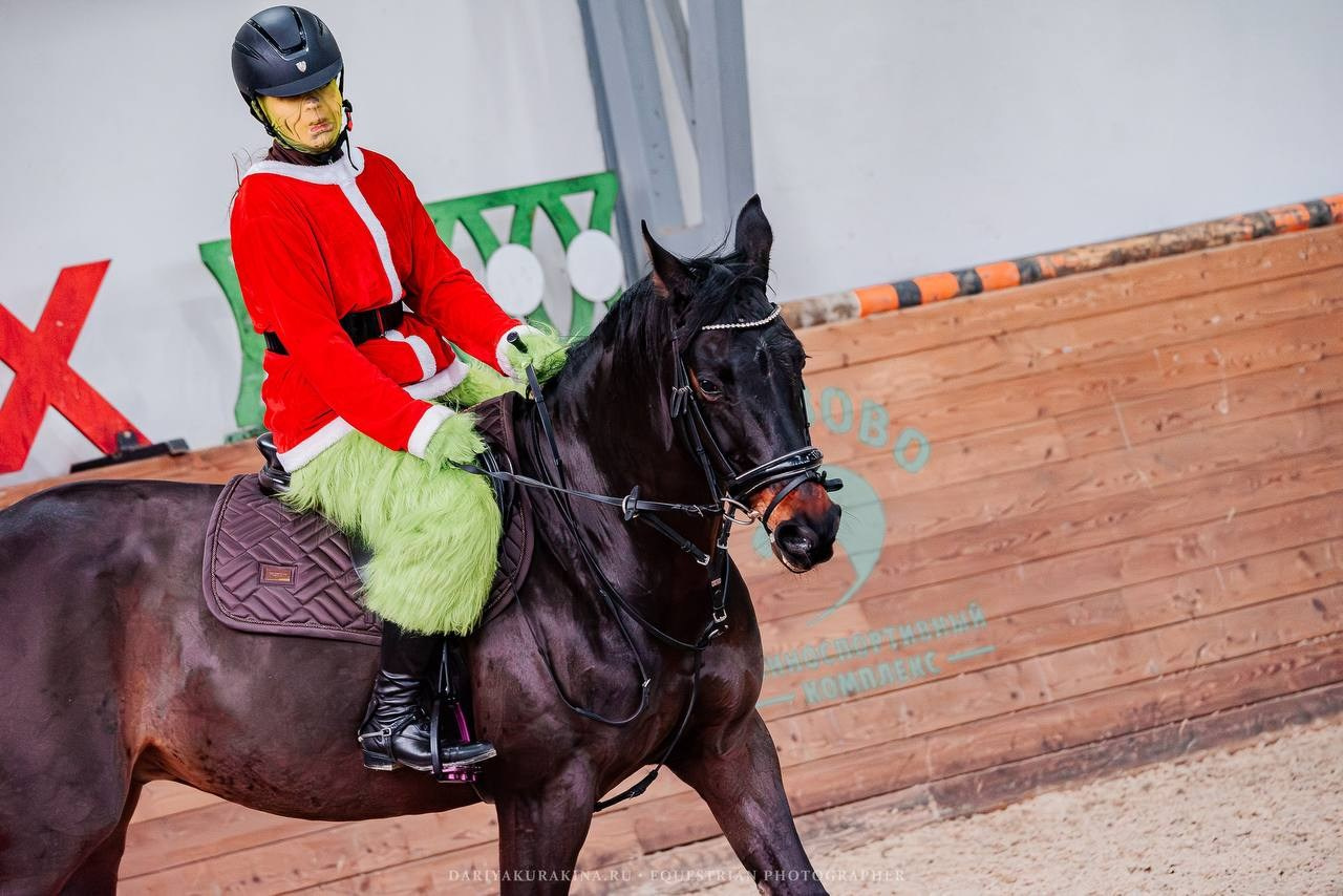 НОВЫЙ ГОД В КСК «АЛМАЗОВО», КОНКУР. Куракина Дарья • Конный фотограф
