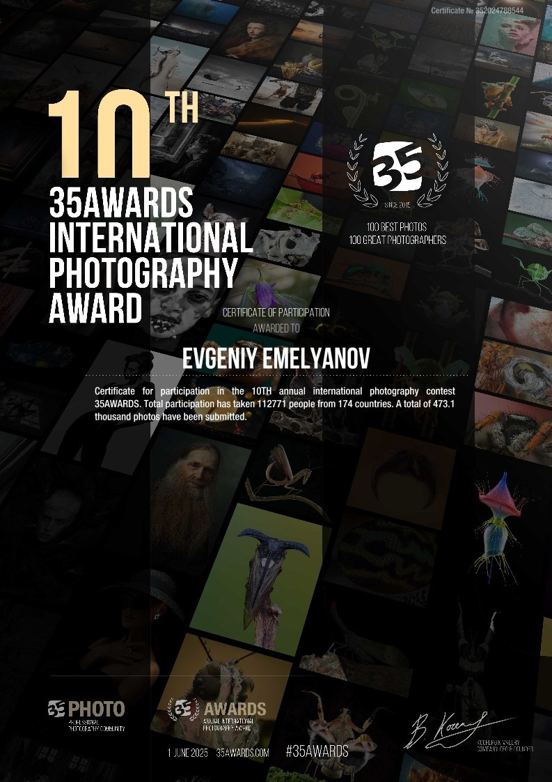 35 Awards. Фотопрогулки по Миру