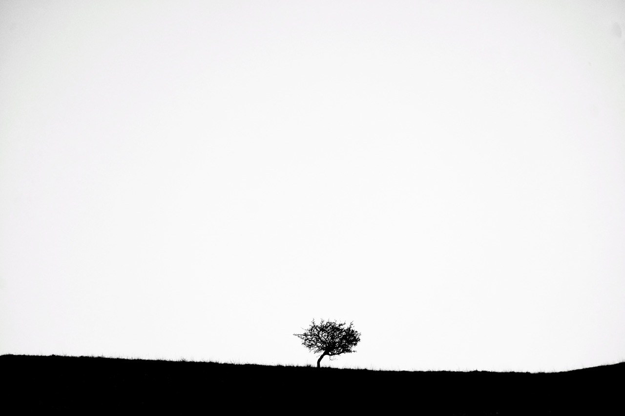 Реальная геометрия. Фотограф Евгений Андреев