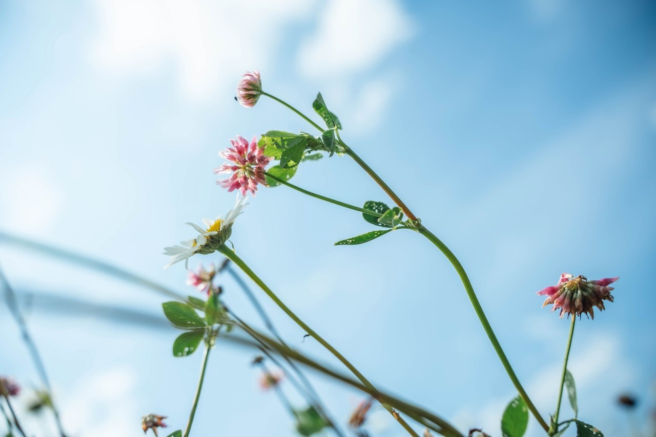 Отзывы. Катерина Мельникова | Репортажный и портретный фотограф | Москва и Химки