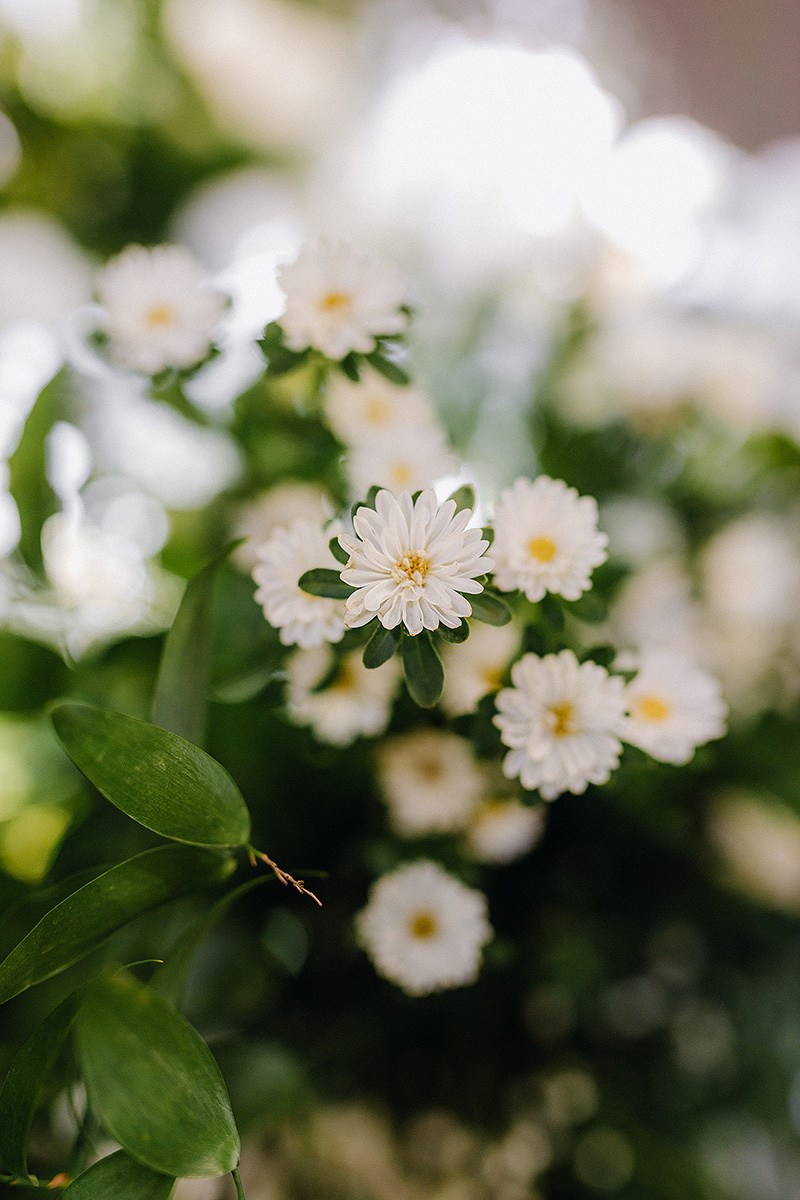 Ольга+Тимофей. Фотограф в Красноярске Гетманова Мила