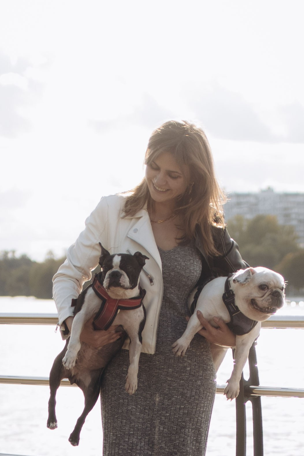 Оля и бульдоги