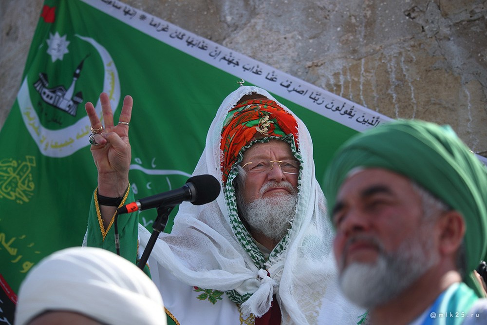 Двадцать пятый. Mik25