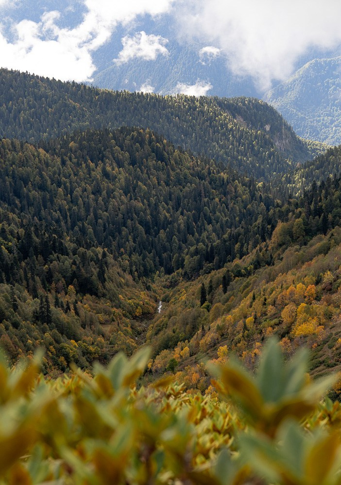 Трейловый бег «Альпиндустрия. Три курорта''. Репортажный фотограф в Красной Поляне и Сочи Павлюченко Екатерина