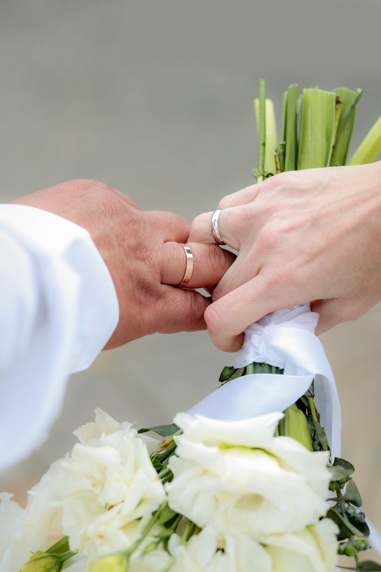 Отзывы. Alexsaphoto.ru