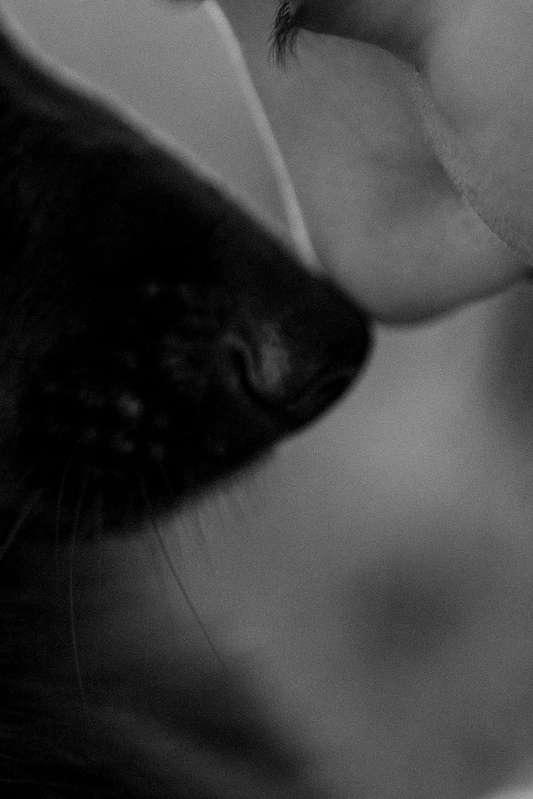 Анна и Максимус. Фотограф — Анималист | Санкт-Петербург