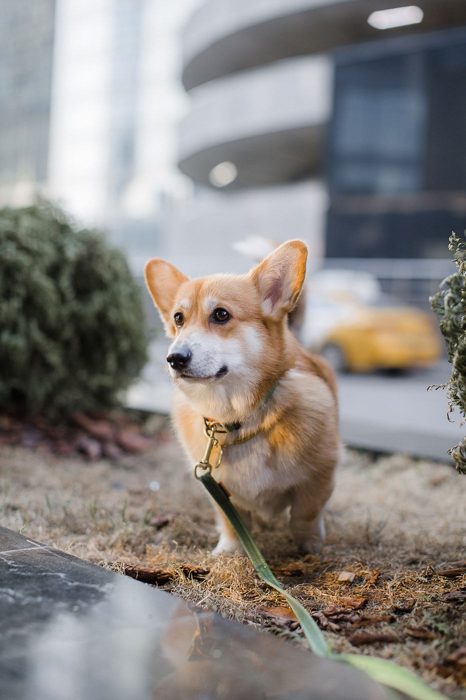 Ангелина и Николай